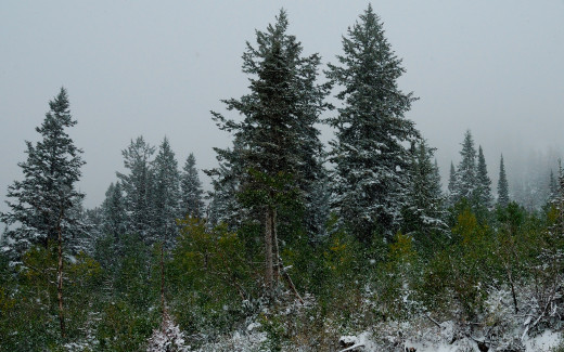 643523 (a): :2560x1600